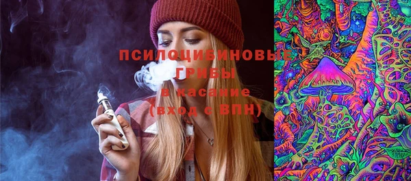 мдма Ельня