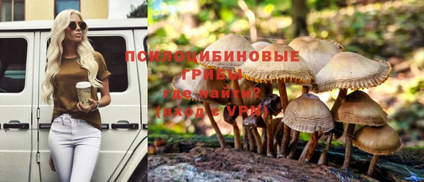 мдма Ельня