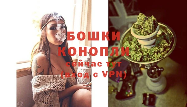 spice Елабуга